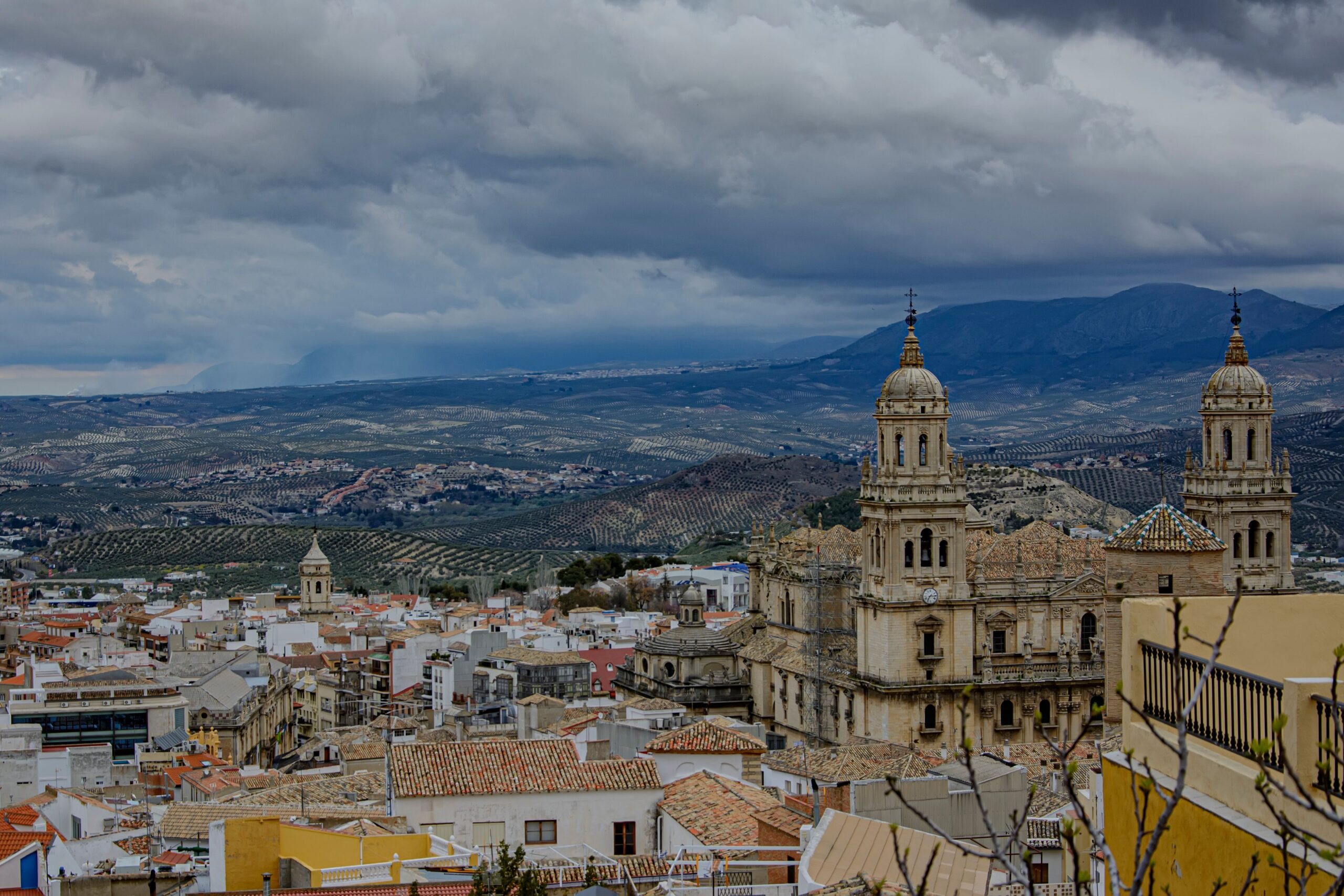Catedral de Jaén y mar de olivos — ortoqueratología y lentillas Orto K en la provincia de Jaén